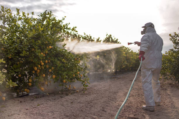 Best Commercial Pest Control Services  in Tuntutuli, AK