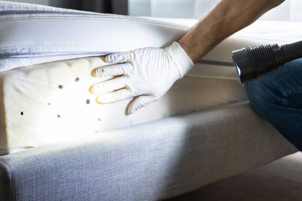 Best Emergency Pest Control  in Tuntutuli, AK