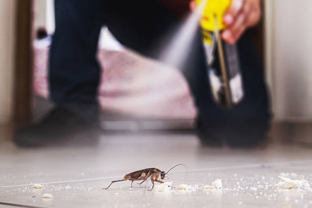 Best Pest Inspection Near Me  in Tuntutuli, AK